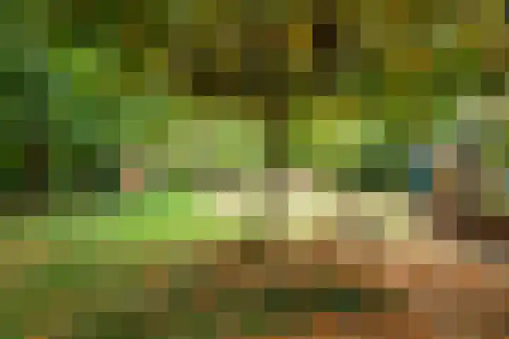 Rijksweg 230 Heumen thumbnail 27