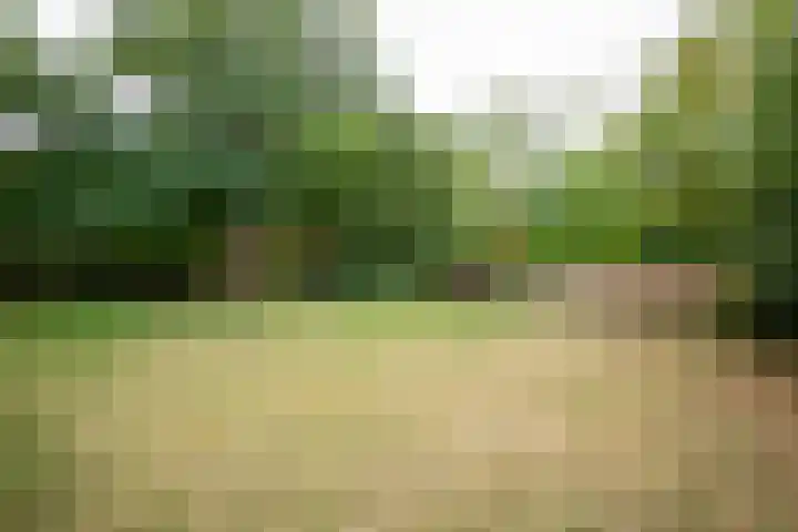 Rijksweg 230 Heumen thumbnail 28