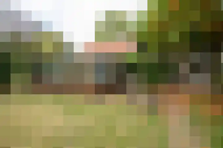 Rijksweg 230 Heumen thumbnail 29