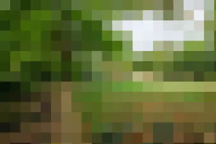 Rijksweg 230 Heumen thumbnail 31
