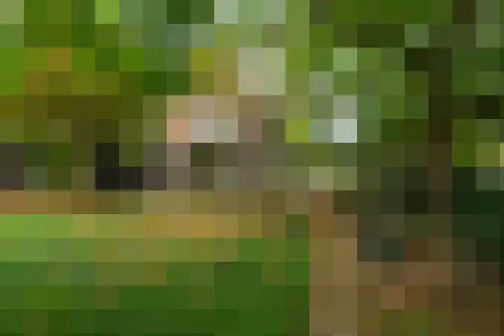 Rijksweg 230 Heumen thumbnail 32
