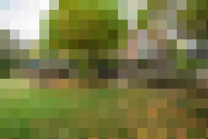 Rijksweg 230 Heumen thumbnail 33