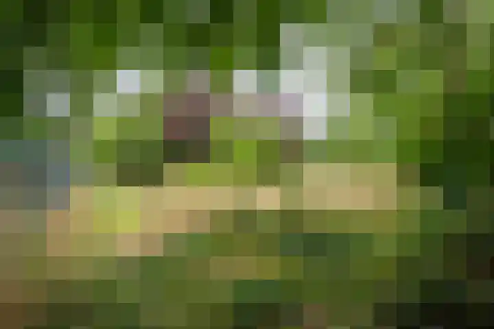 Rijksweg 230 Heumen thumbnail 35