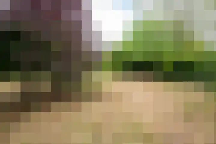 Rijksweg 230 Heumen thumbnail 36