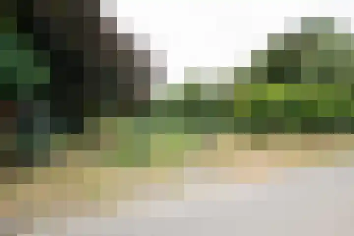 Rijksweg 230 Heumen thumbnail 37