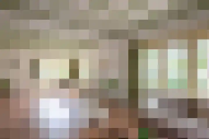 Rijksweg 230 Heumen thumbnail 4