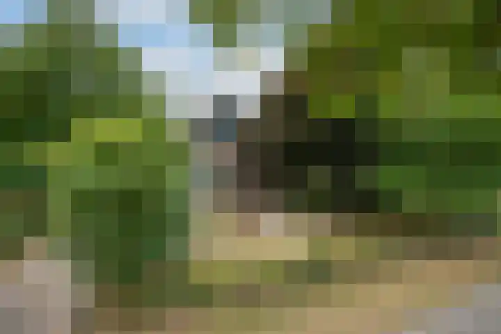 Rijksweg 230 Heumen thumbnail 40