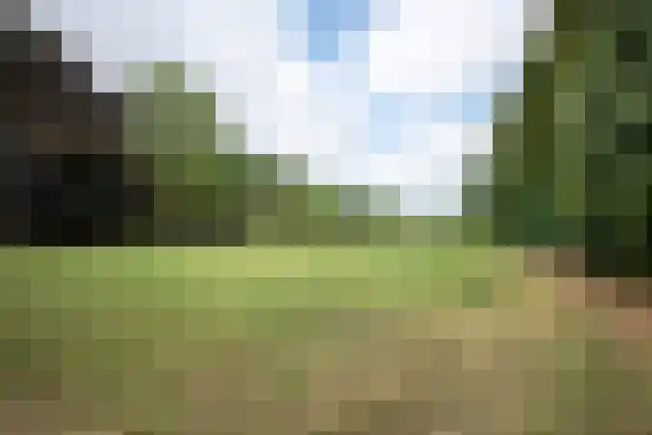 Rijksweg 230 Heumen thumbnail 41