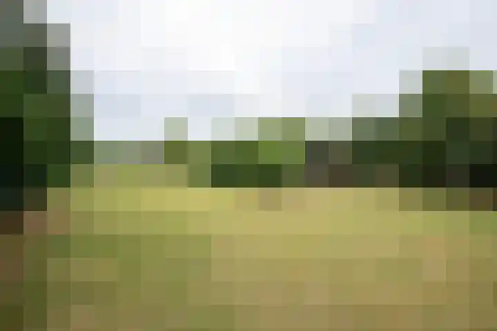 Rijksweg 230 Heumen thumbnail 42