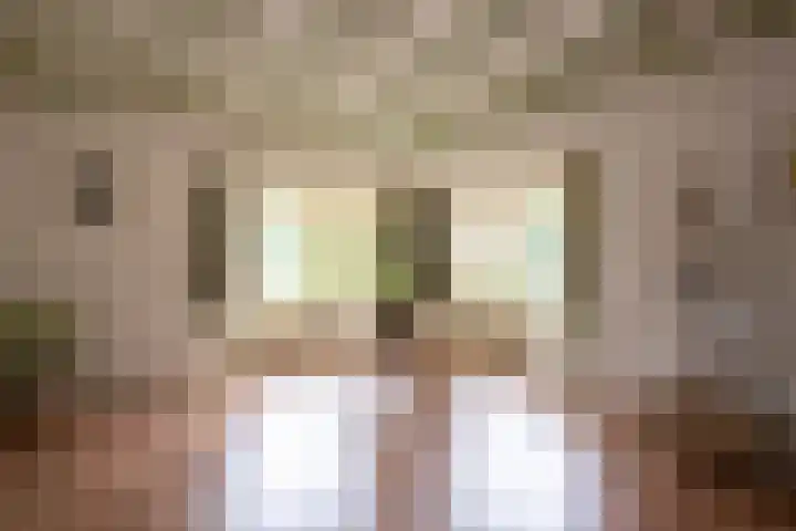 Rijksweg 230 Heumen thumbnail 5