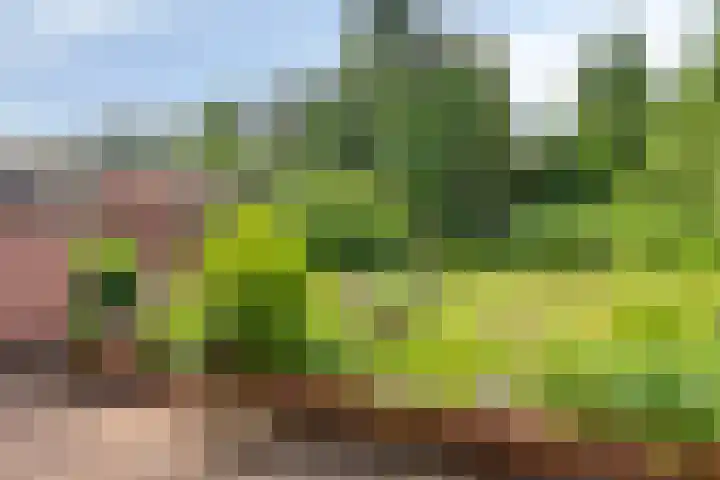 Rijksweg 232 Gaanderen thumbnail 26