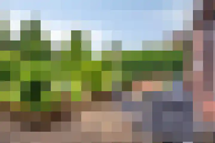 Rijksweg 232 Gaanderen thumbnail 27