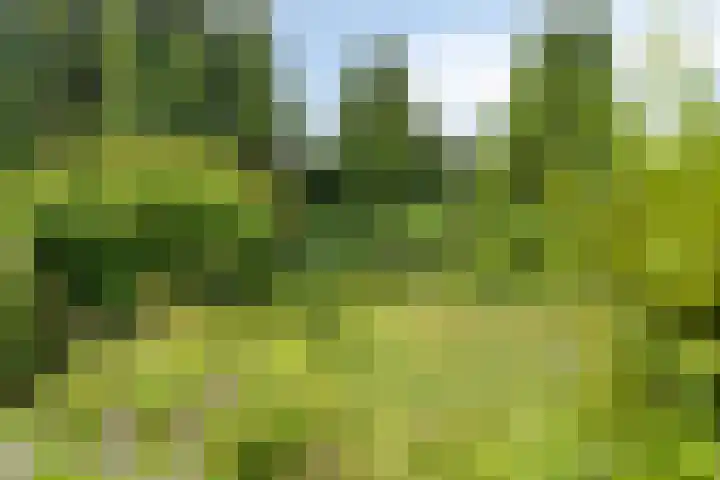 Rijksweg 232 Gaanderen thumbnail 28