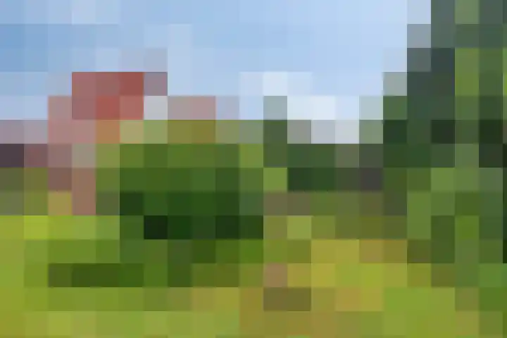 Rijksweg 232 Gaanderen thumbnail 29