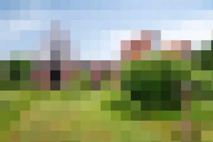 Rijksweg 232 Gaanderen thumbnail 30