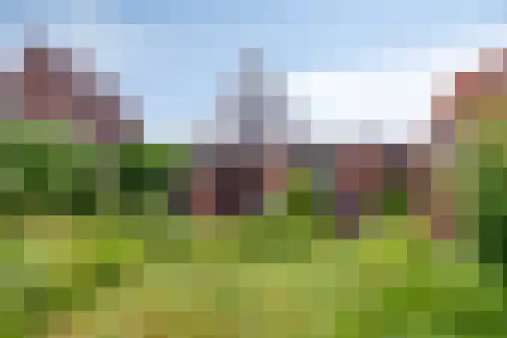 Rijksweg 232 Gaanderen thumbnail 32