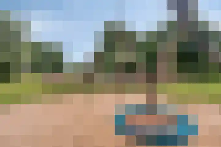 Rijksweg 232 Gaanderen thumbnail 33