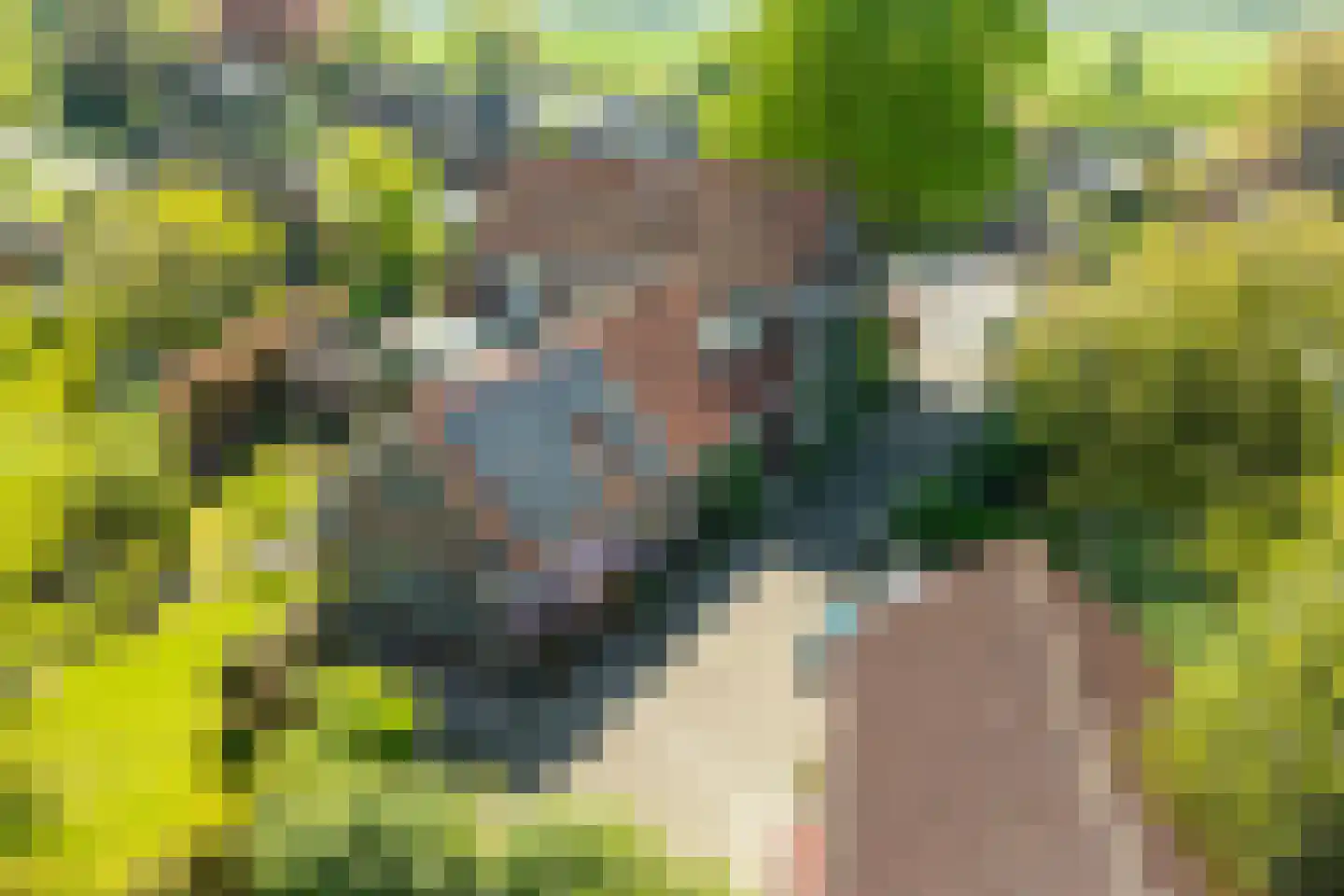 Rijksweg 25 A Drempt