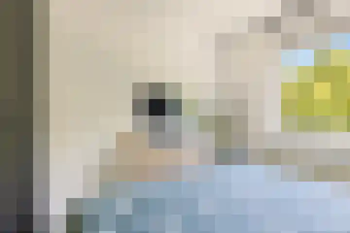 Rijksweg 25 A Drempt foto 2