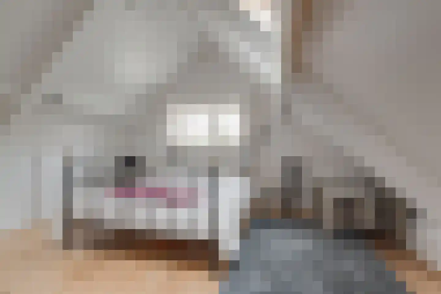 Rijksweg 25 A Drempt thumbnail 22