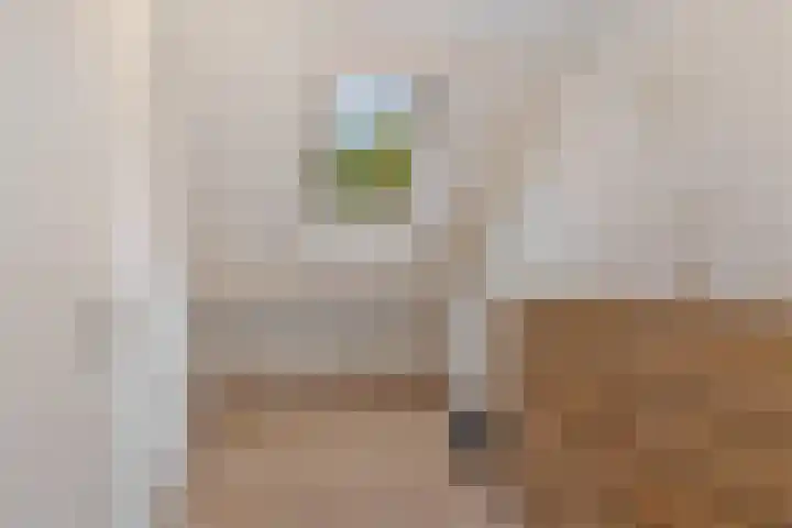 Rijksweg 25 A Drempt thumbnail 49