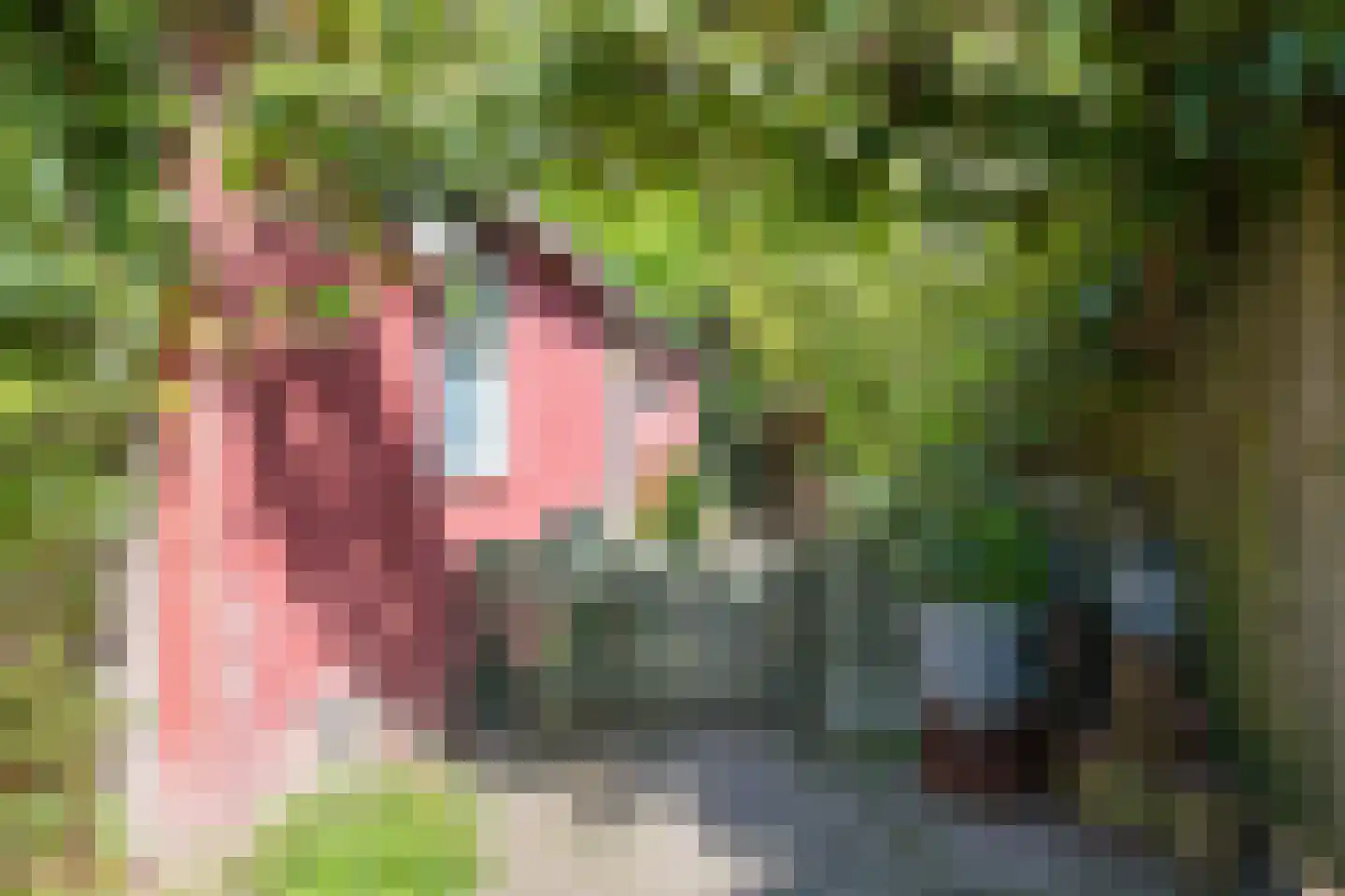 Rijksweg 25 A Drempt thumbnail 54
