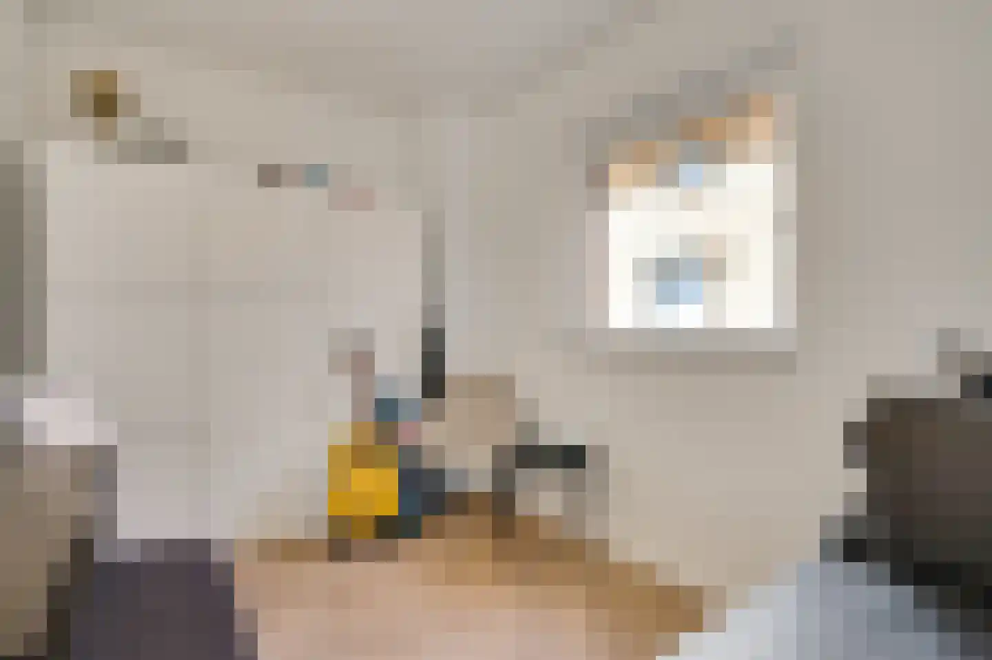 Rijksweg 25 Berg en Terblijt thumbnail 12
