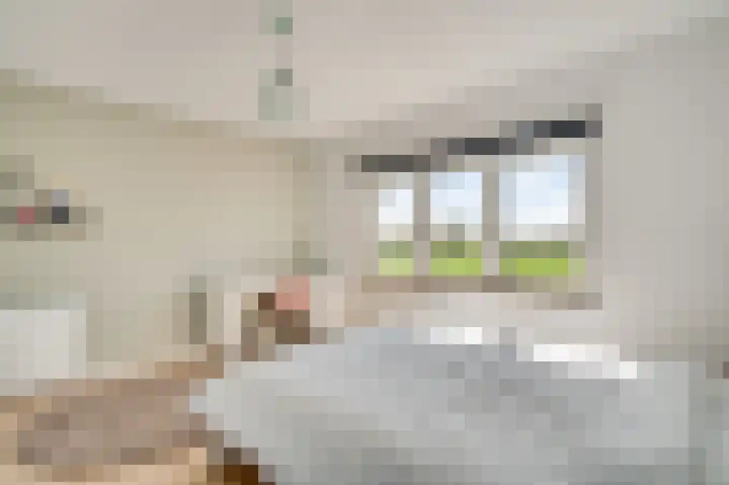 Rijksweg 25 Berg en Terblijt thumbnail 16
