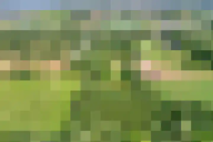 Rijksweg 254 Hoogersmilde thumbnail 10