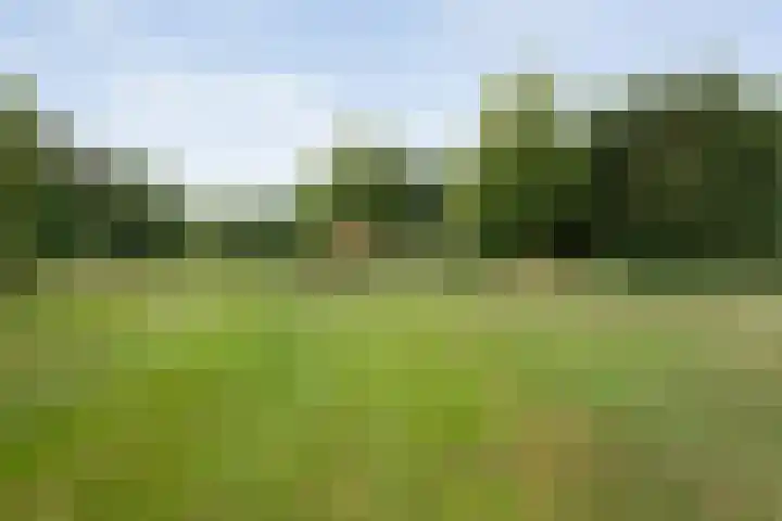 Rijksweg 254 Hoogersmilde thumbnail 100