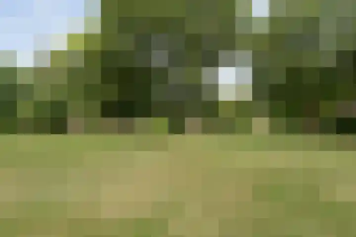 Rijksweg 254 Hoogersmilde thumbnail 101