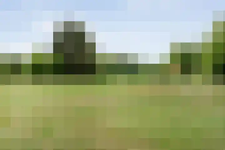 Rijksweg 254 Hoogersmilde thumbnail 102