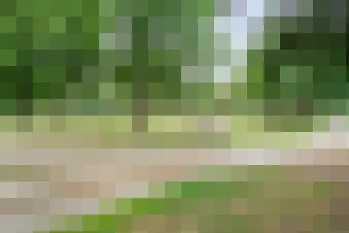 Rijksweg 254 Hoogersmilde thumbnail 12
