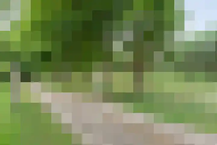 Rijksweg 254 Hoogersmilde thumbnail 13