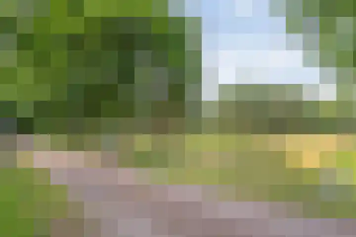 Rijksweg 254 Hoogersmilde thumbnail 14