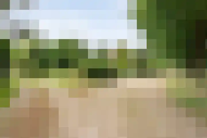 Rijksweg 254 Hoogersmilde thumbnail 15