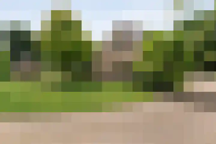 Rijksweg 254 Hoogersmilde thumbnail 16
