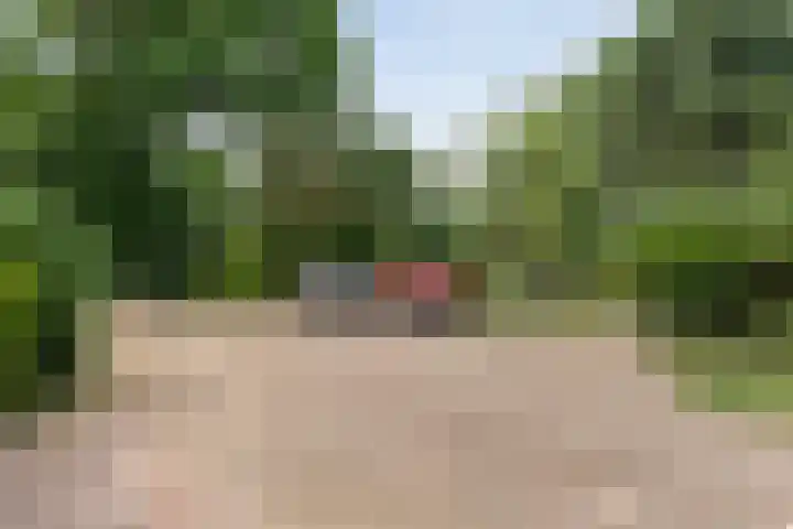 Rijksweg 254 Hoogersmilde thumbnail 18