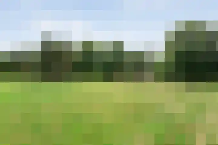 Rijksweg 254 Hoogersmilde thumbnail 19