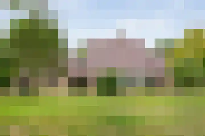 Rijksweg 254 Hoogersmilde thumbnail 20