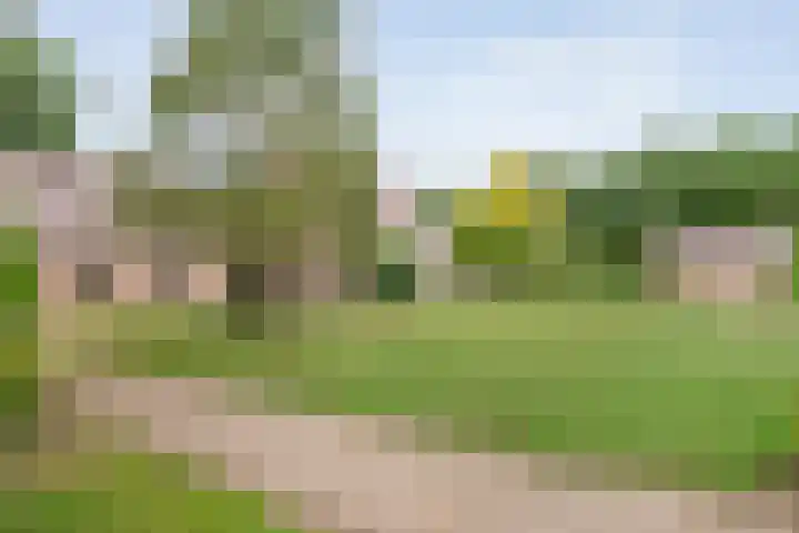 Rijksweg 254 Hoogersmilde thumbnail 21