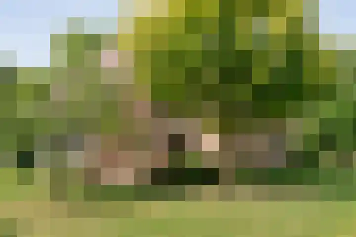 Rijksweg 254 Hoogersmilde thumbnail 22