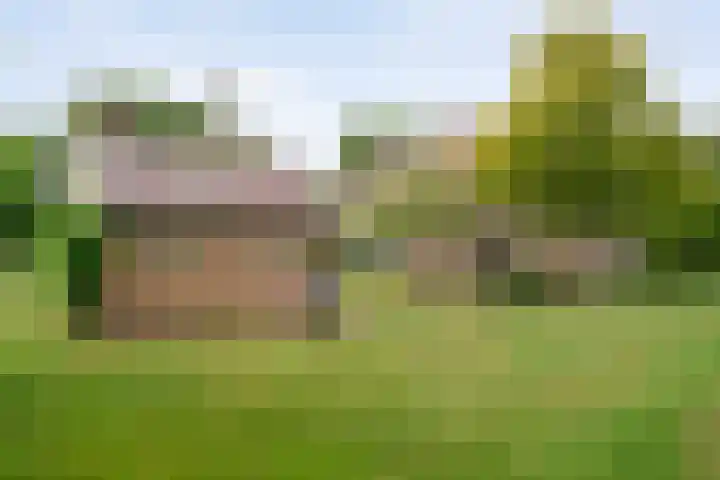 Rijksweg 254 Hoogersmilde thumbnail 23