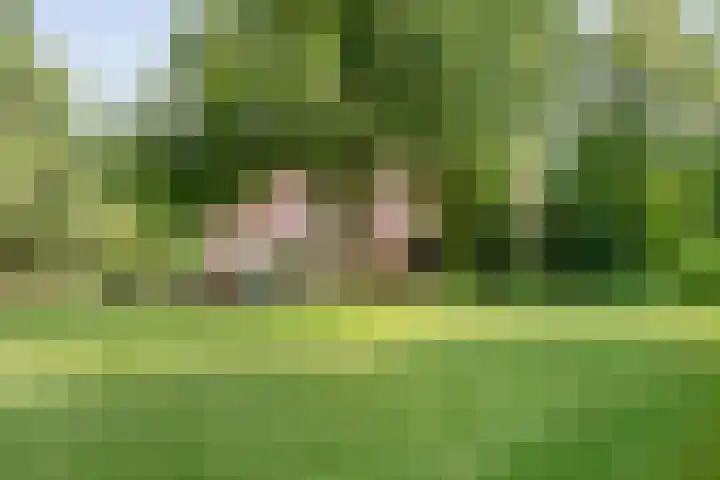 Rijksweg 254 Hoogersmilde thumbnail 24