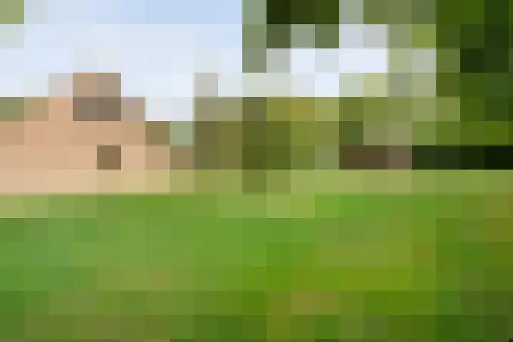Rijksweg 254 Hoogersmilde thumbnail 25