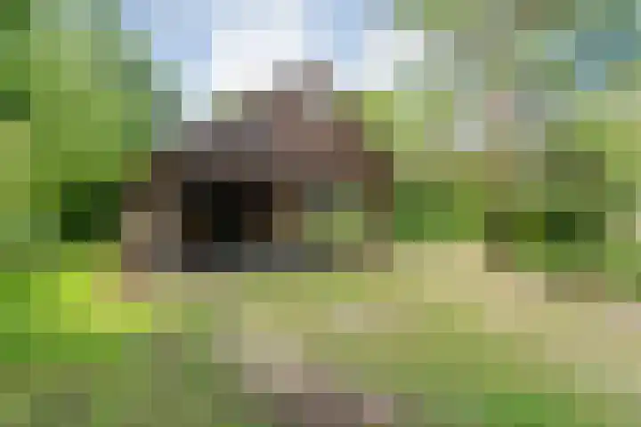 Rijksweg 254 Hoogersmilde thumbnail 26