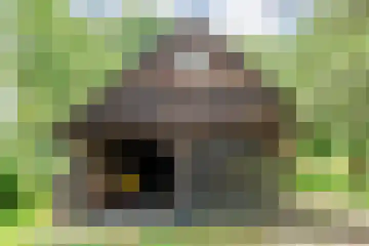 Rijksweg 254 Hoogersmilde thumbnail 29