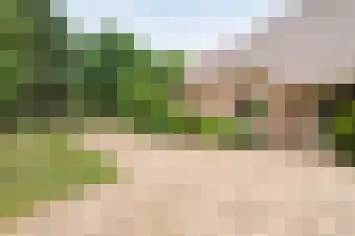 Rijksweg 254 Hoogersmilde thumbnail 30
