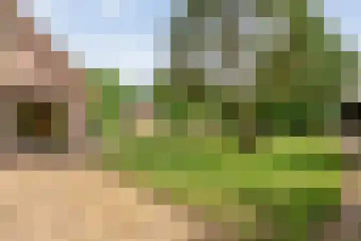 Rijksweg 254 Hoogersmilde thumbnail 31