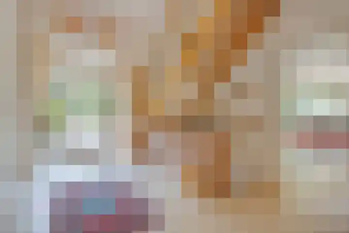 Rijksweg 254 Hoogersmilde thumbnail 33